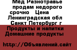 Мёд Разнотравье продам недорого срочно › Цена ­ 400 - Ленинградская обл., Санкт-Петербург г. Продукты и напитки » Домашние продукты   